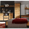 Гостиная Лофт (Loft) BRW заказать в Осколе по цене 58 330 руб. с доставкой в Старый Оскол, Губкин, Белгород