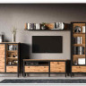Гостиная Лофт (Loft) BRW заказать в Осколе по цене 58 330 руб. с доставкой в Старый Оскол, Губкин, Белгород