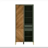 Витрина Siena REG1W1D дымчатый зеленый/дуб вотан BRW заказать в Осколе по цене 43 630 руб. с доставкой в Старый Оскол, Губкин, Белгород