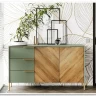 Витрина Siena REG1W1D/140 дымчатый зеленый/дуб вотан BRW заказать в Осколе по цене 33 980 руб. с доставкой в Старый Оскол, Губкин, Белгород
