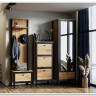 Прихожая Лофт (Loft) BRW заказать в Осколе по цене 38 560 руб. с доставкой в Старый Оскол, Губкин, Белгород